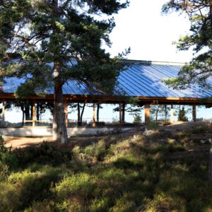 Utsikt över tallar från Skärgårdsspa