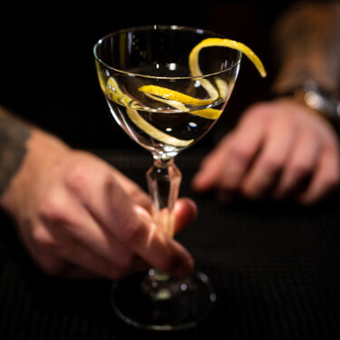 BAR, DRINK PÅ DJURÖNÄSET
