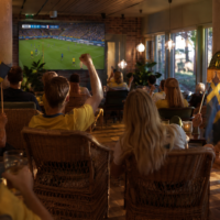 vm fotboll