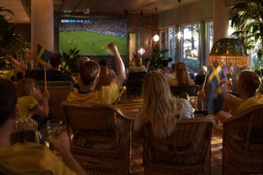 vm fotboll
